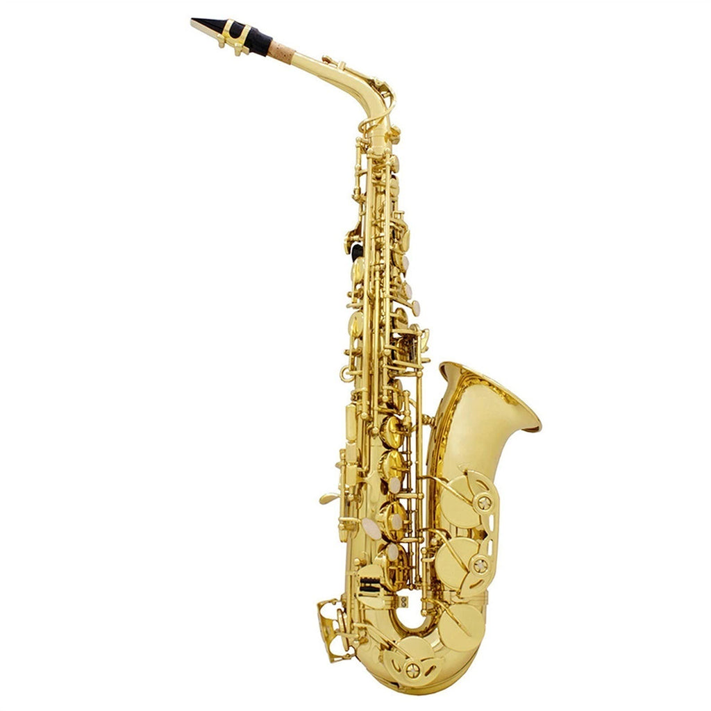 Golden E Flat Alto Saxophone Set F698