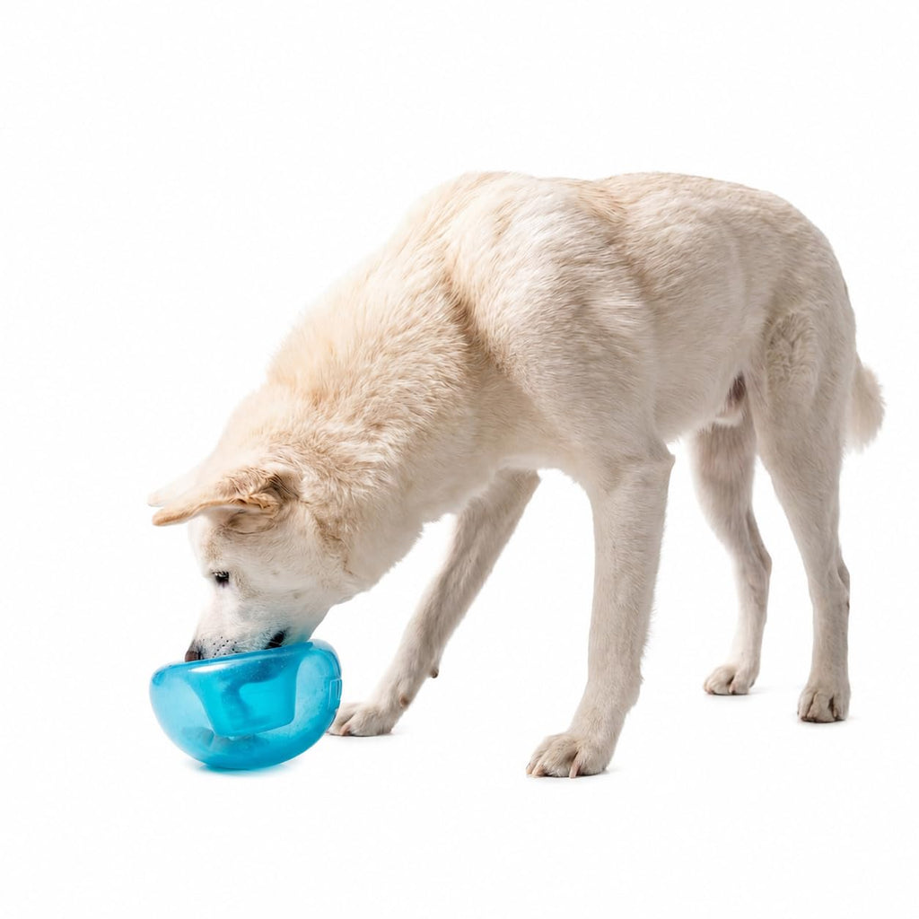 Blue Interactive Treat Dispensing Dog Toy N18473