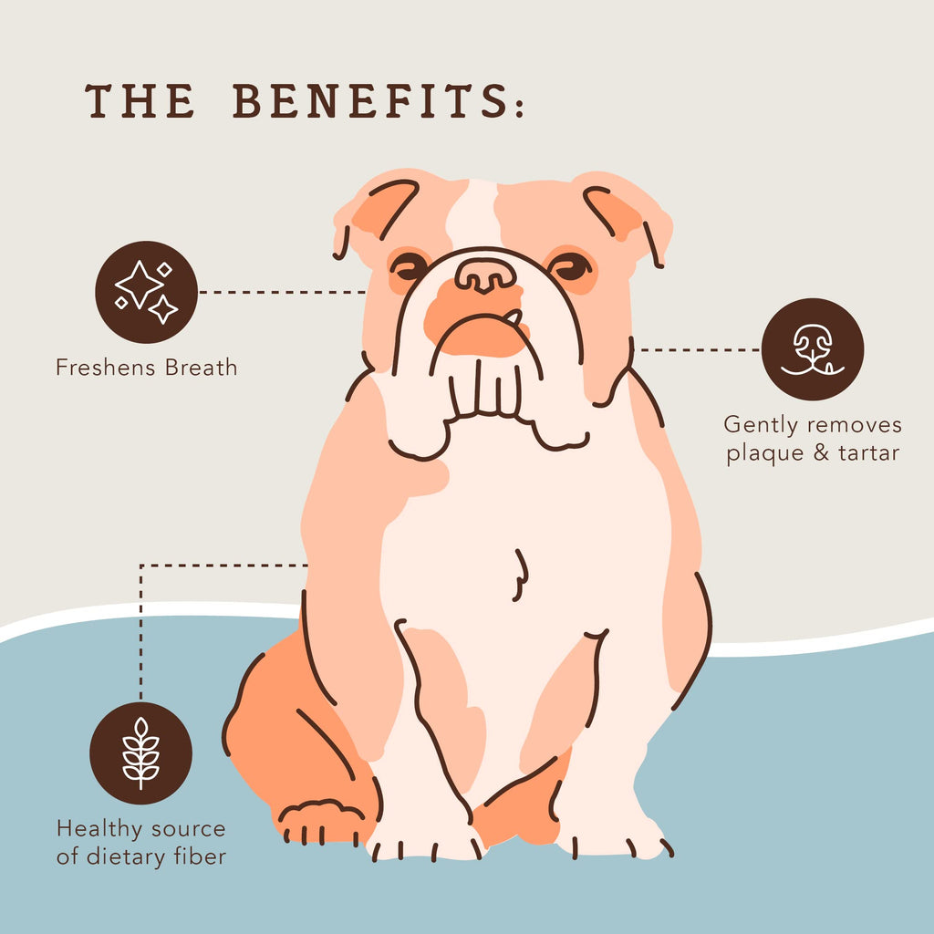 Dental Chews for Dogs 18 Count C9348