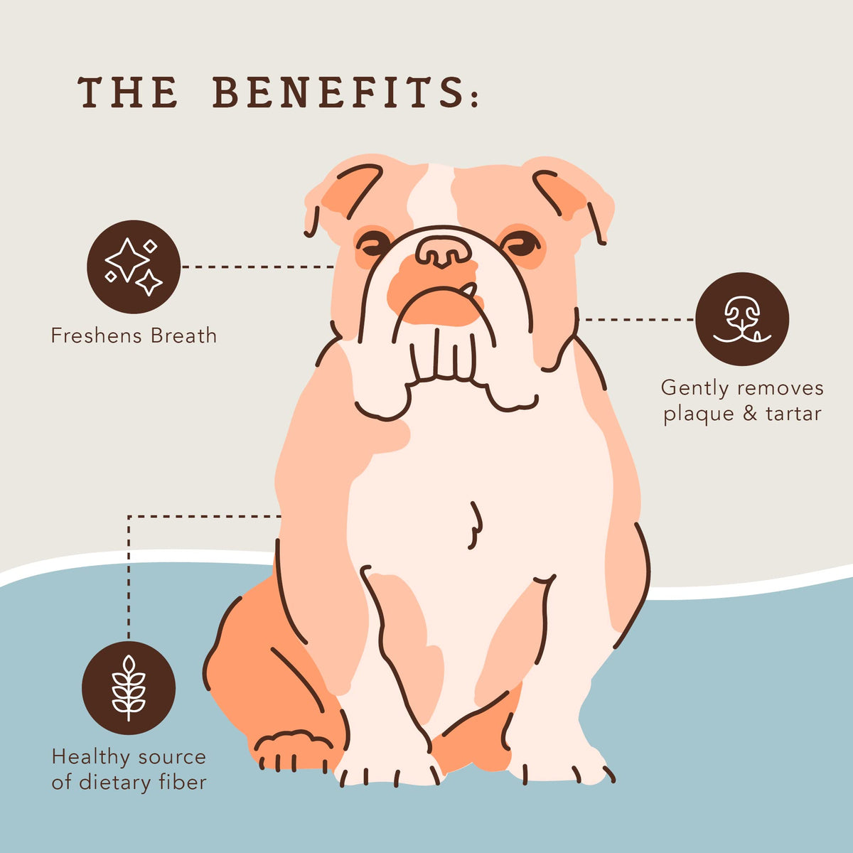 Dental Chews for Dogs 18 Count C9348