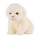 Silicone Dog Squishy G63797