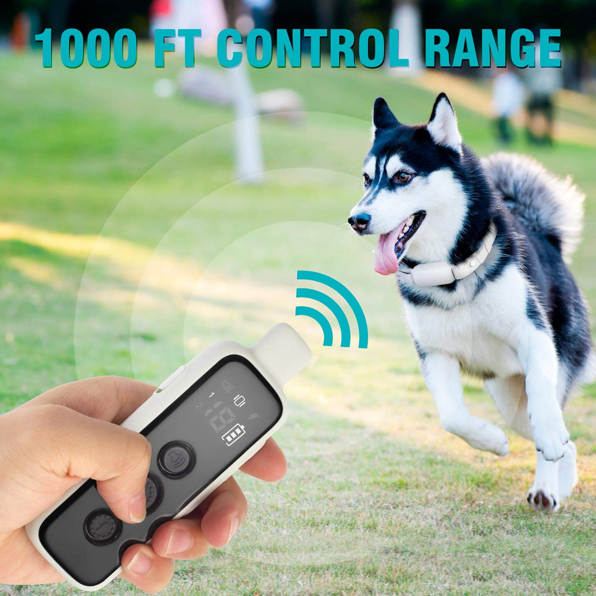 Waterproof Rechargeable Electric Dog Training Collar with Remote Q738718