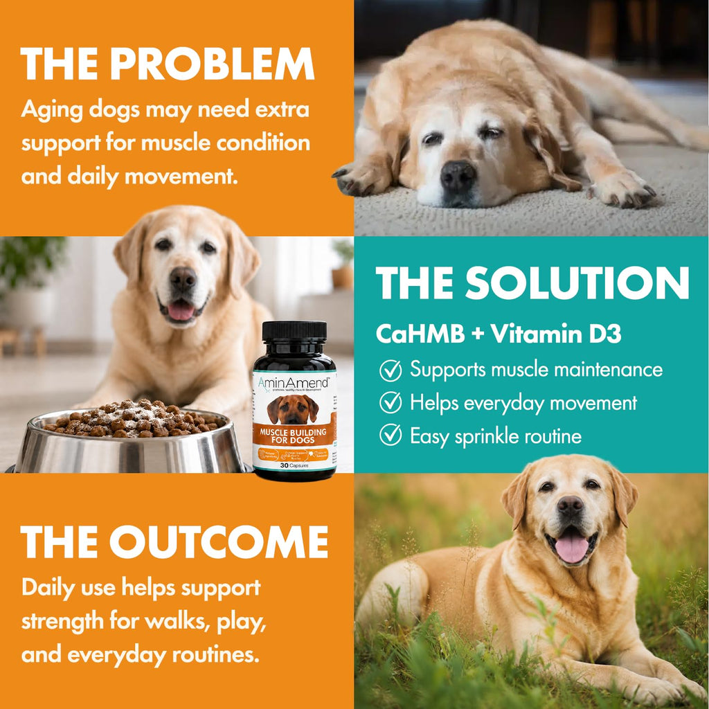430 mg Muscle Support for Dogs, 30 Ct., 2-Pack C759