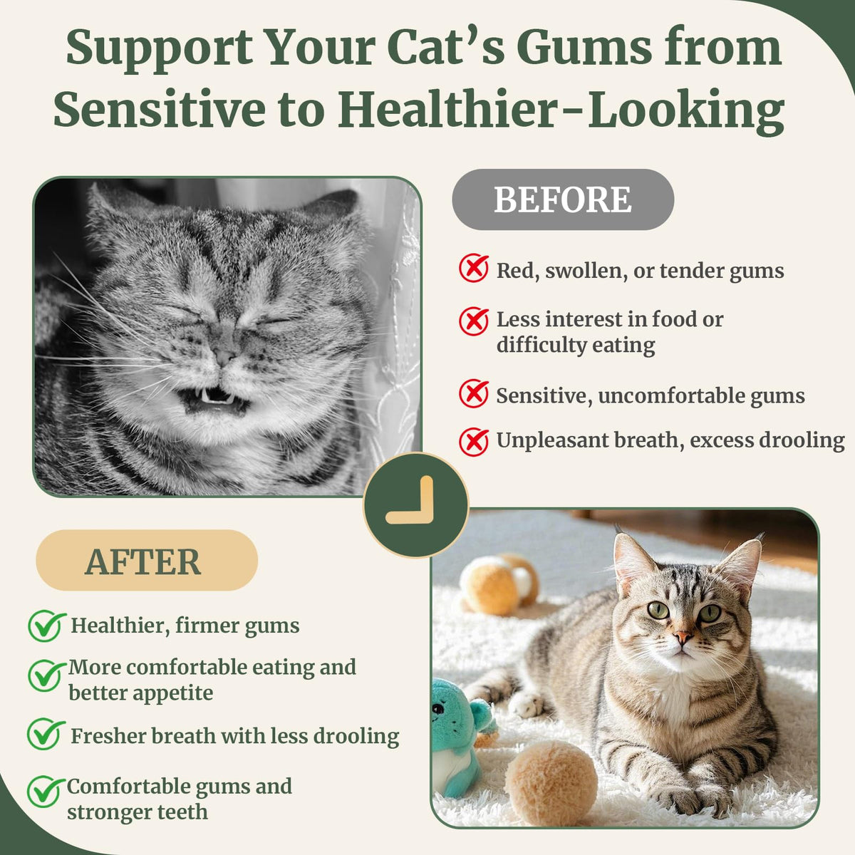 Cat Dental Care Gingivitis Treatment M9323