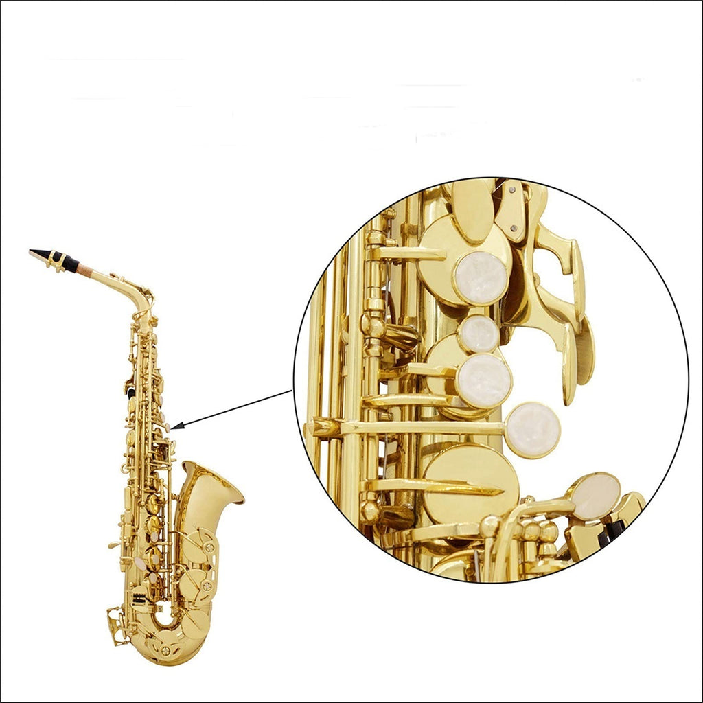 Golden E Flat Alto Saxophone Set F698
