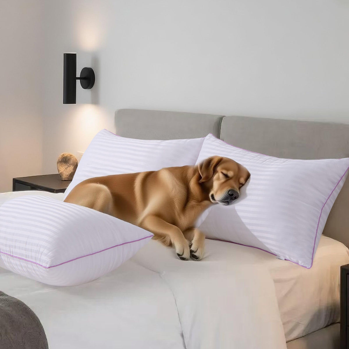 King Size Down Alternative Pillows Set of 2 X118