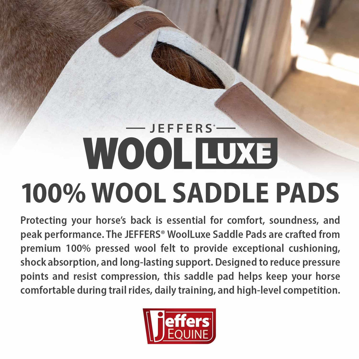 100% Wool Felt Saddle Pad C848
