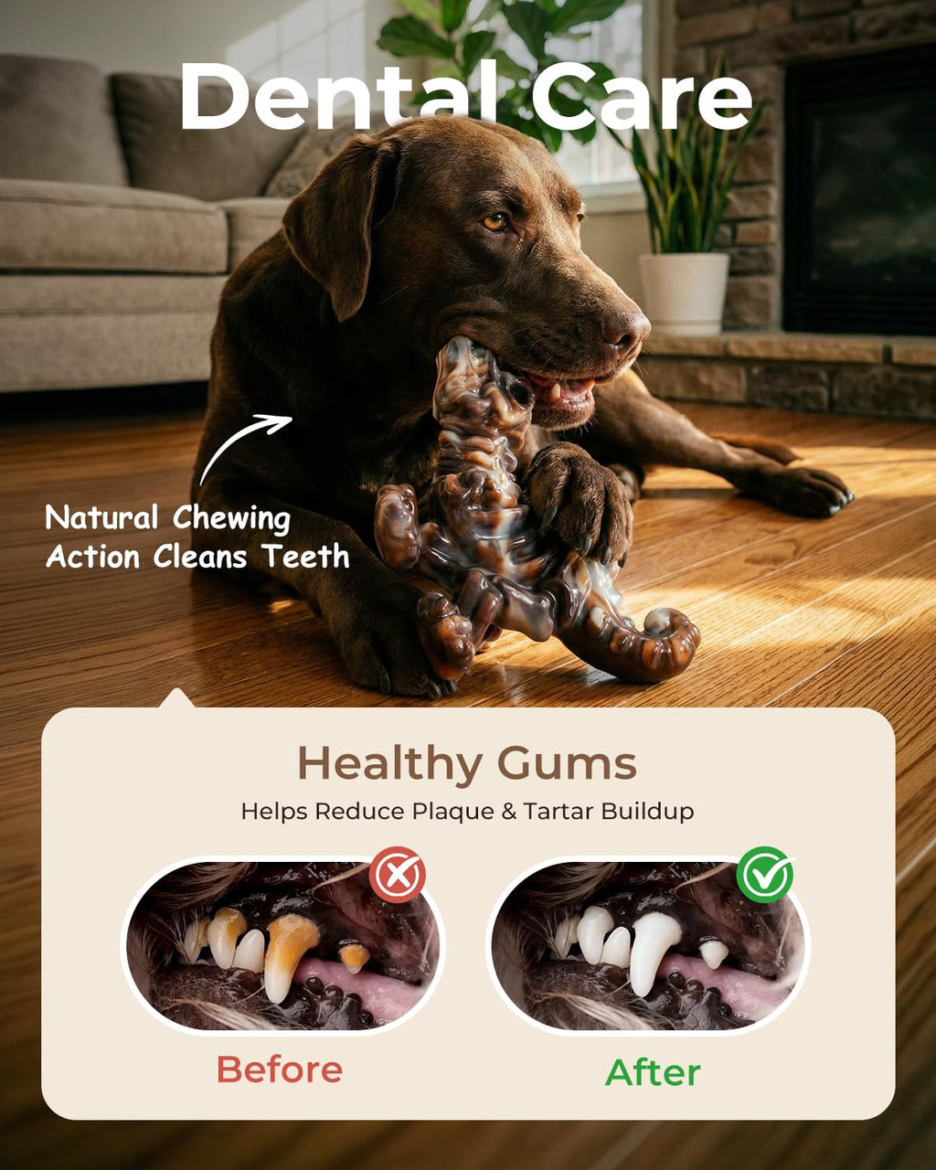 2-Pack Tough Dog Chew Toys F570