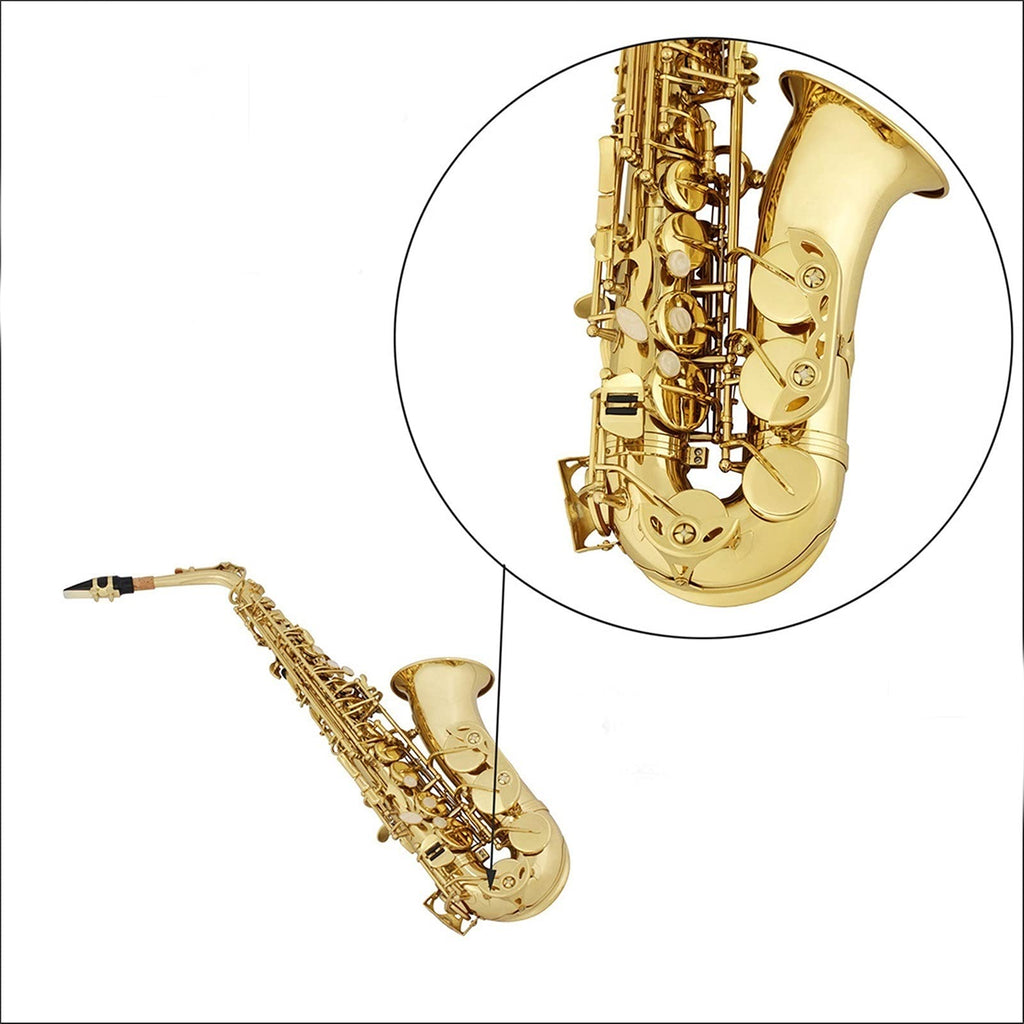 Golden E Flat Alto Saxophone Set F698