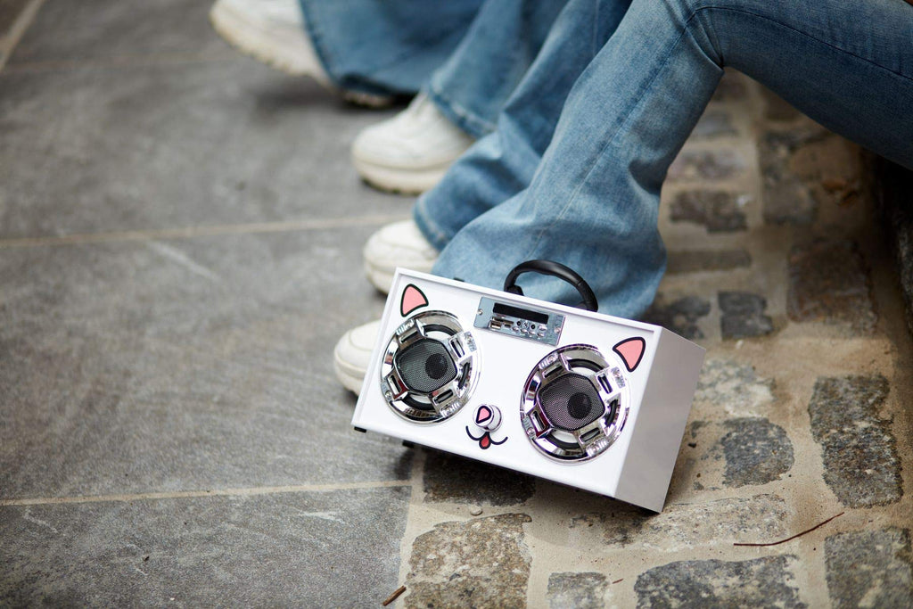 Bluetooth Speaker with FM Radio & LED Lights M80055