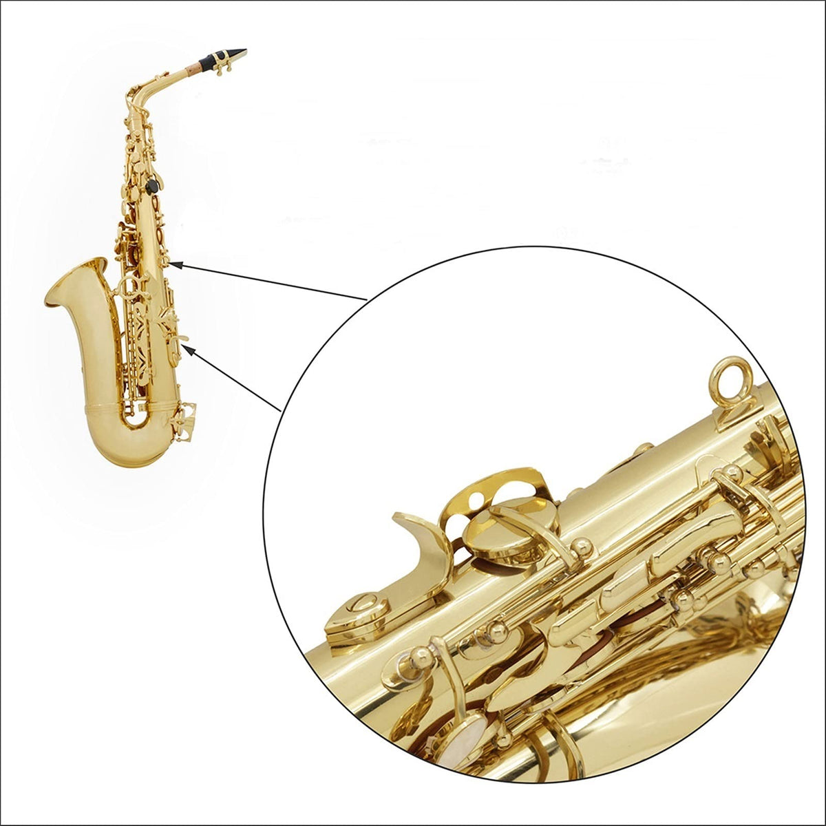 Golden E Flat Alto Saxophone Set F698