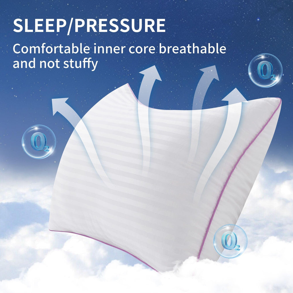 King Size Down Alternative Pillows Set of 2 X118