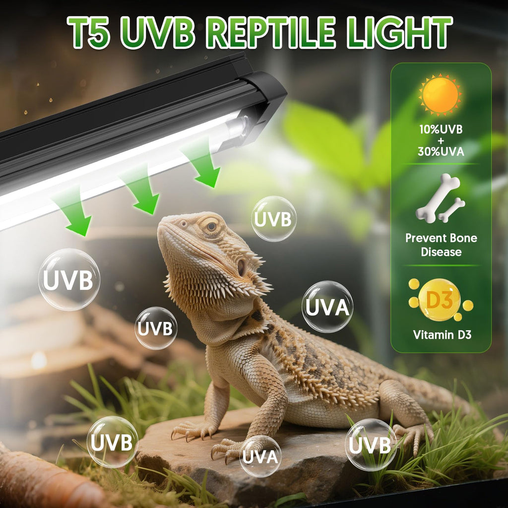8W UVB Reptile Light Fixture Combo Kit B979885