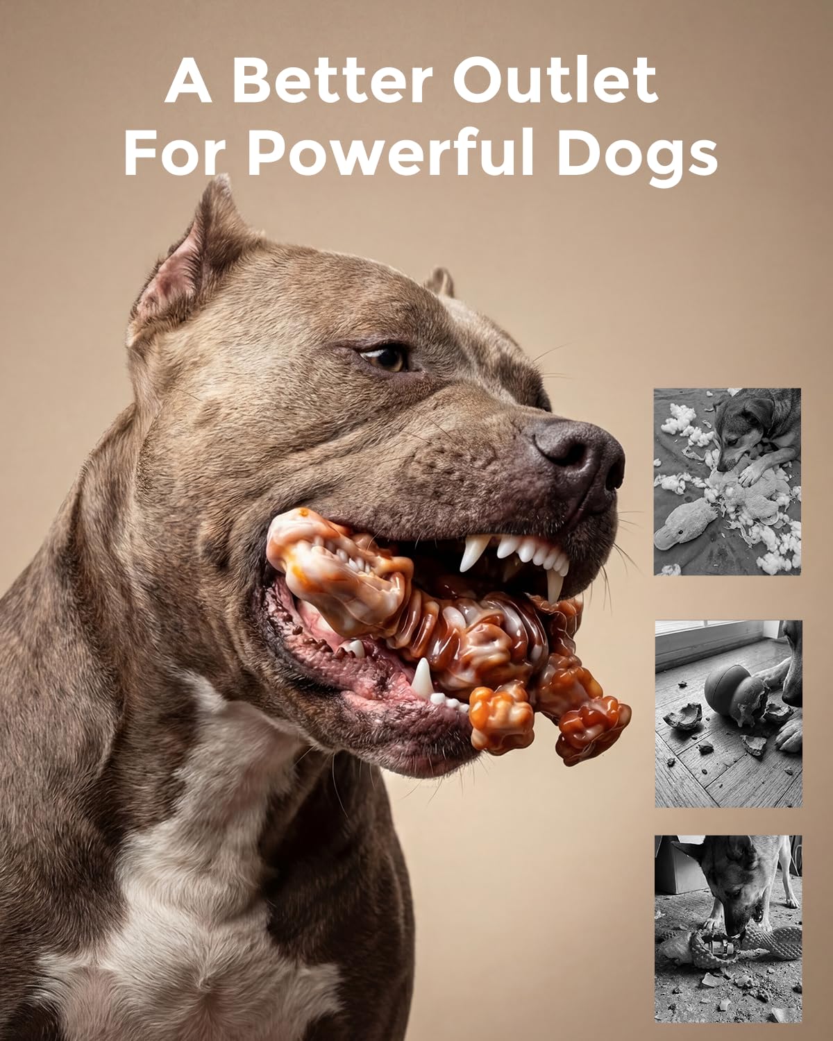 2-Pack Tough Dog Chew Toys F570