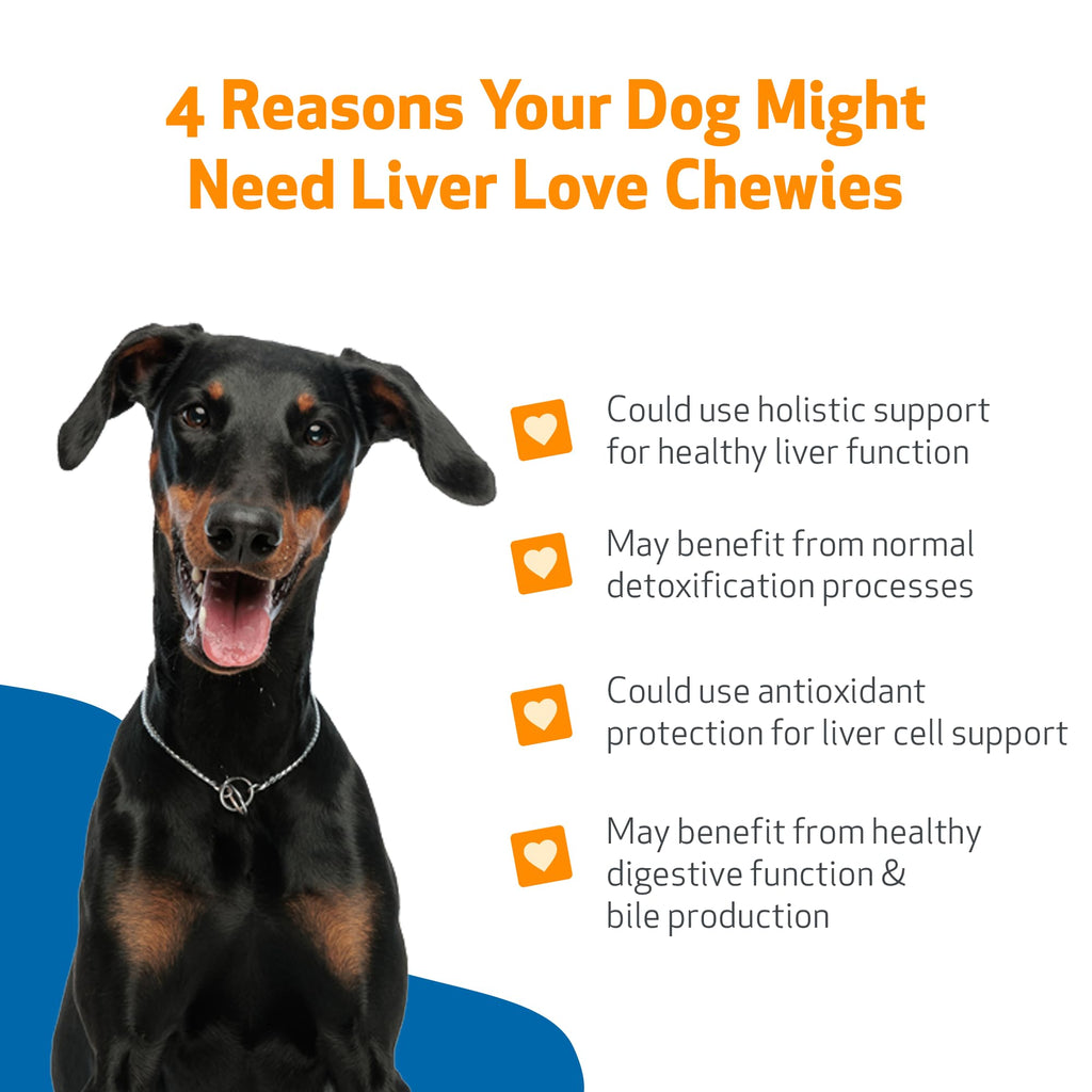 Liver Support Chewies for Dogs, 90 Ct V4318