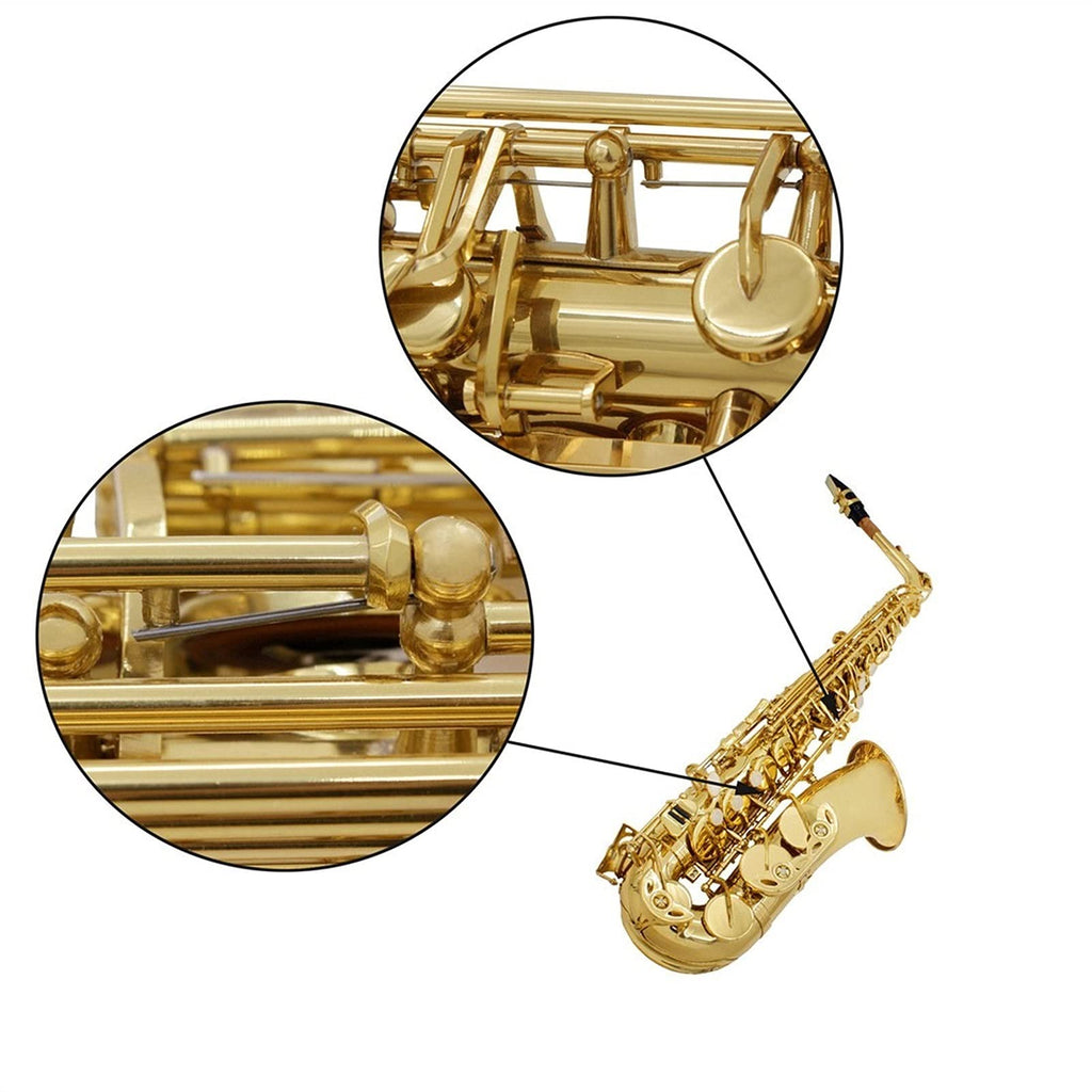 Golden E Flat Alto Saxophone Set F698