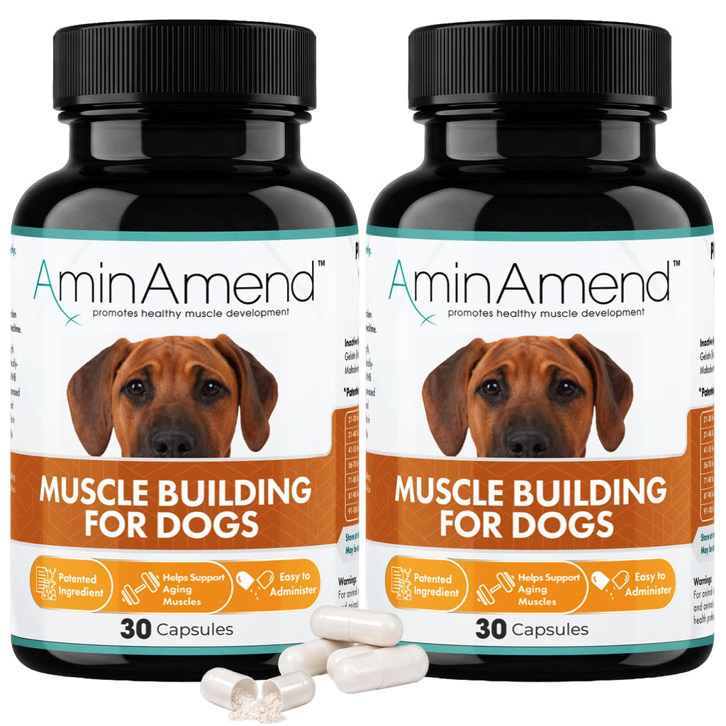430 mg Muscle Support for Dogs, 30 Ct., 2-Pack C759