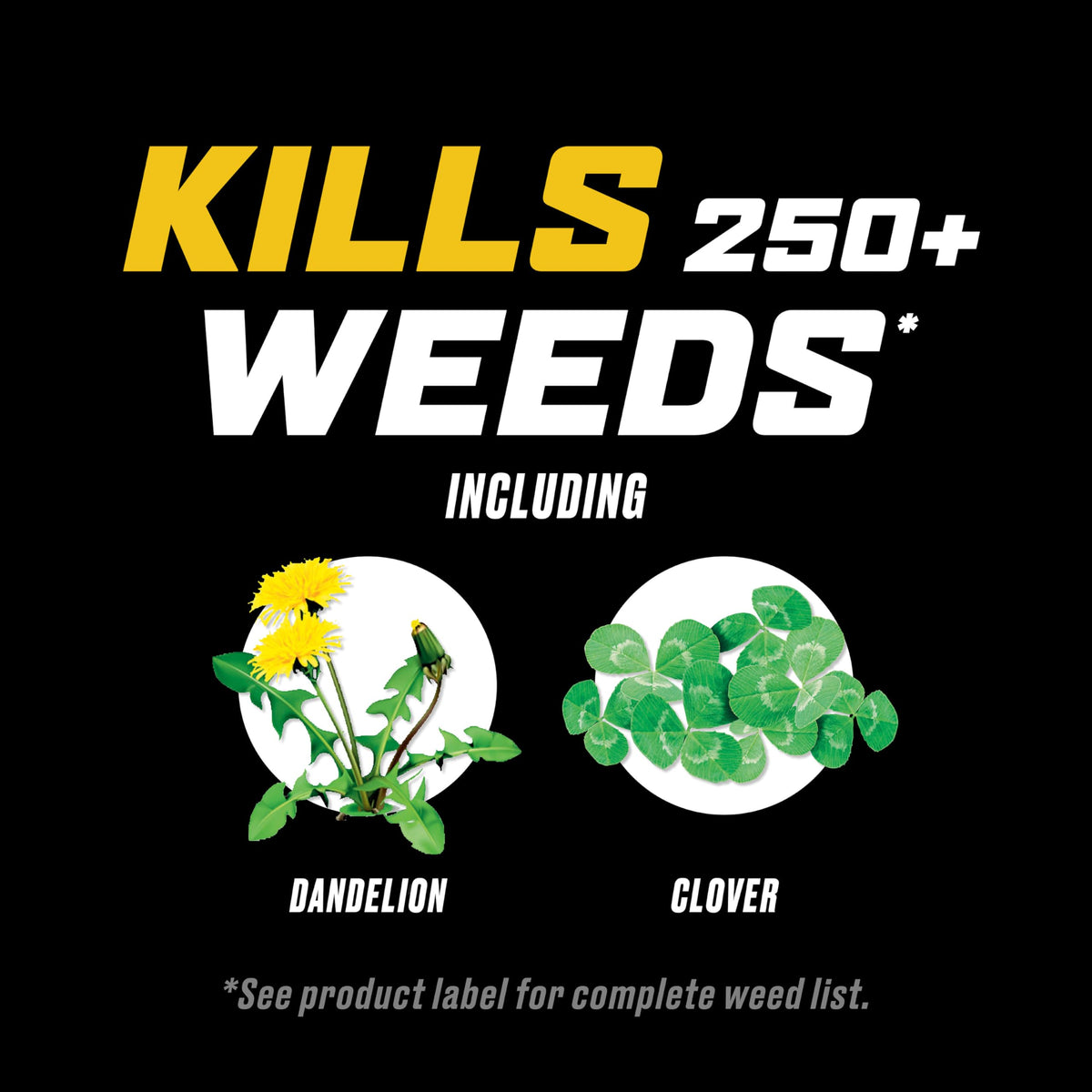 Weed Killer for Lawns Refill, 1 Gal. F945
