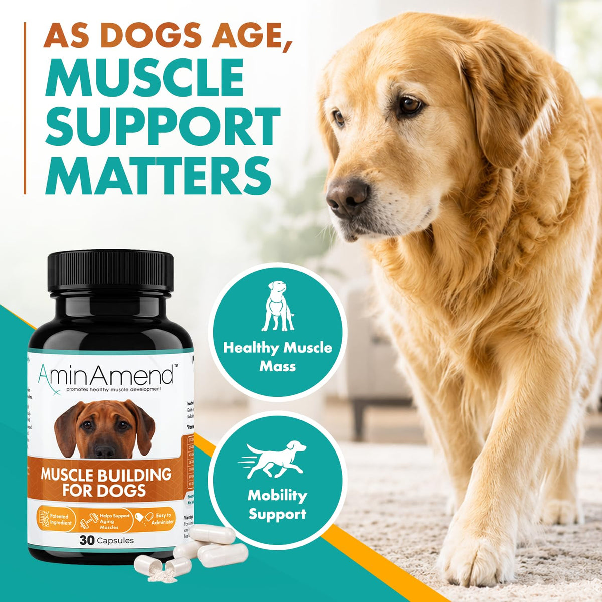 430 mg Muscle Support for Dogs, 30 Ct., 2-Pack C759