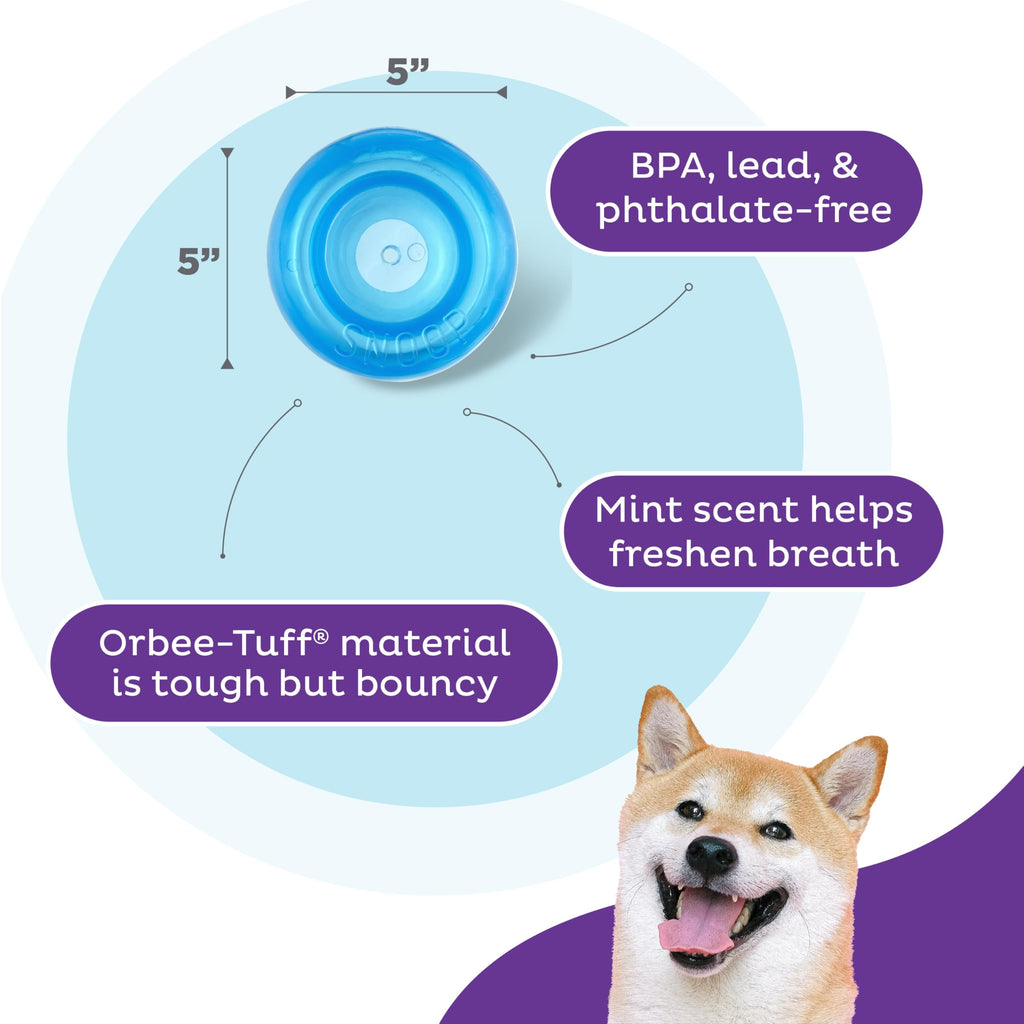Blue Interactive Treat Dispensing Dog Toy N18473