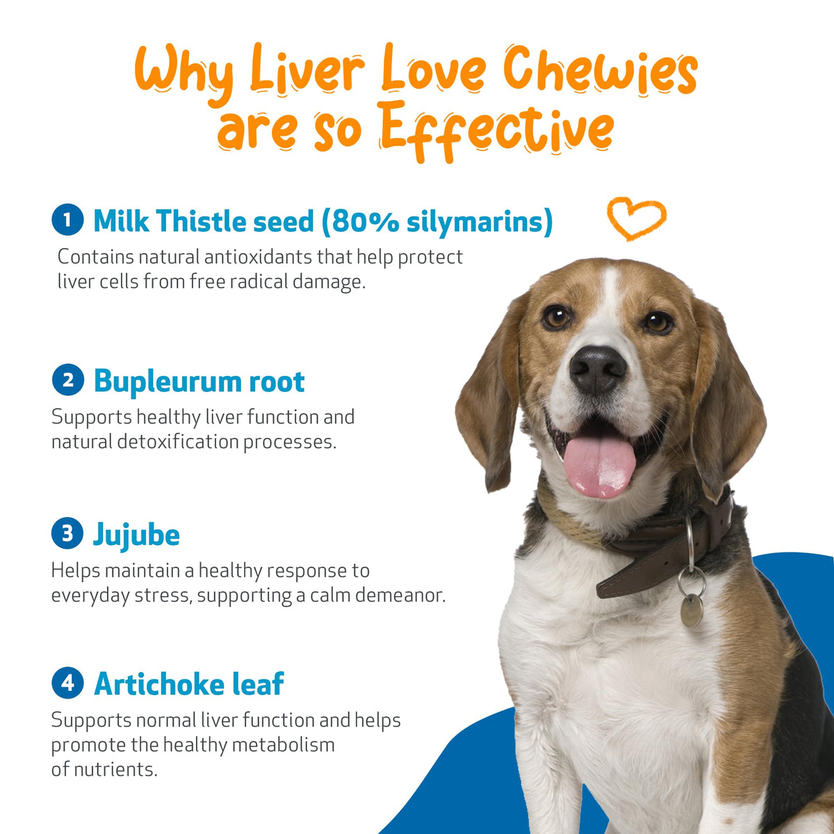 Liver Support Chewies for Dogs, 90 Ct V4318