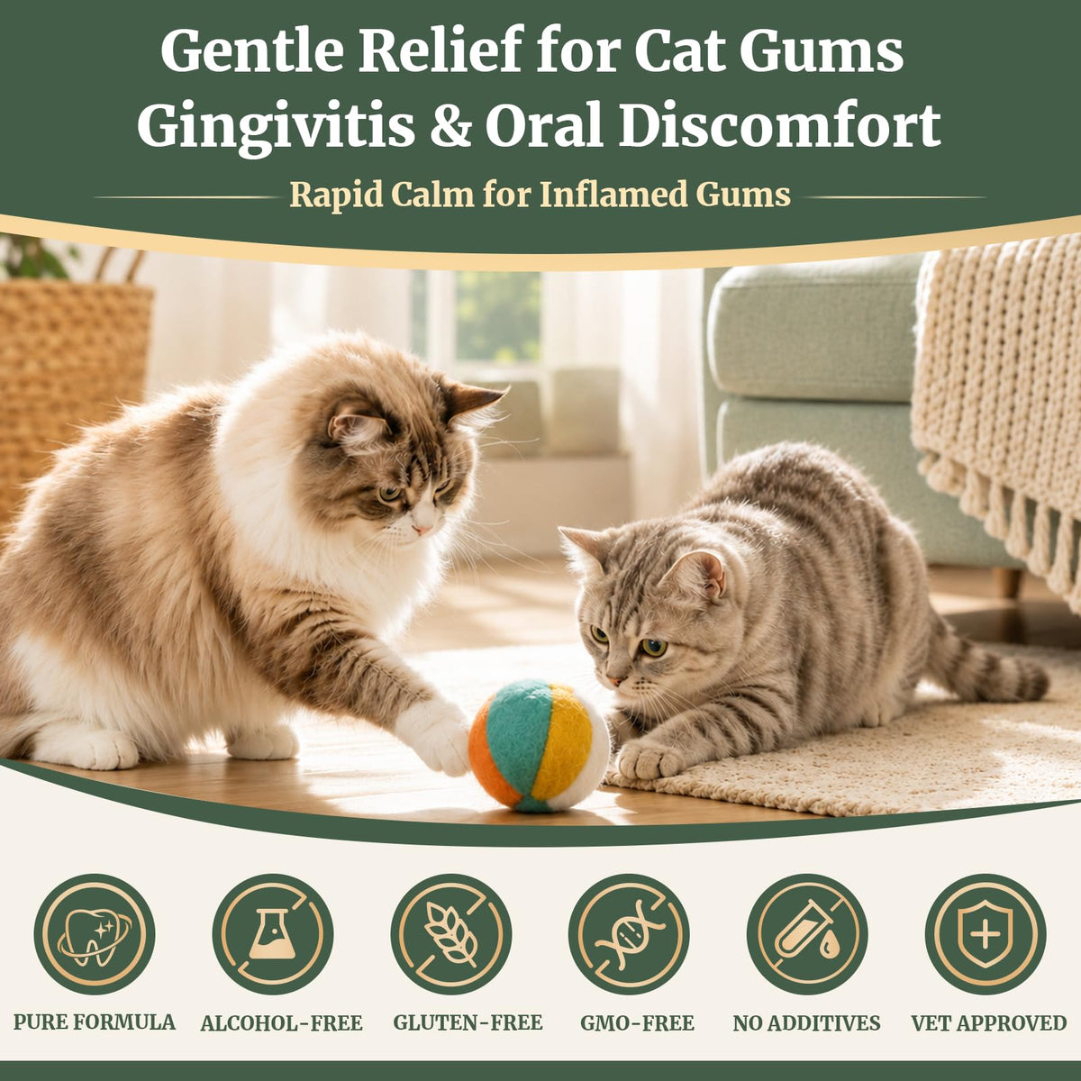 Cat Dental Care Gingivitis Treatment M9323