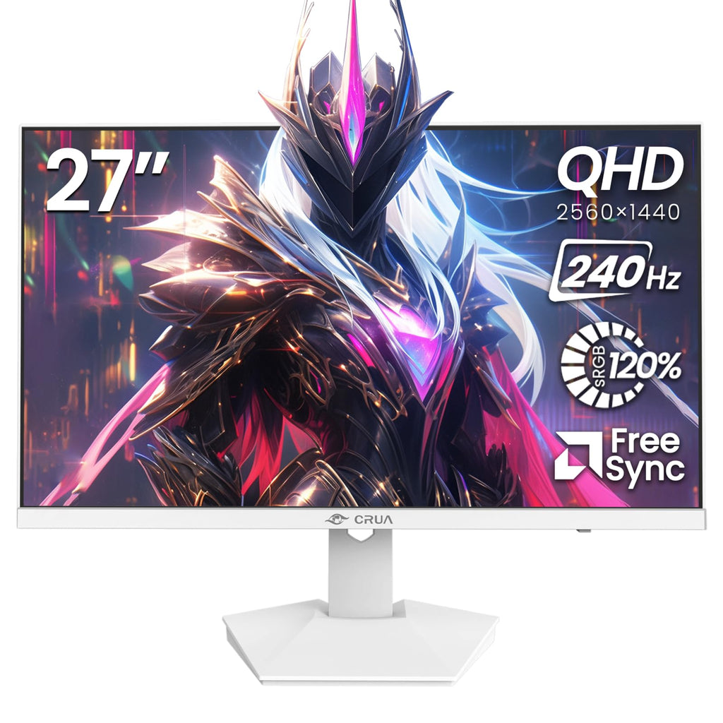 27" QHD 240Hz IPS Gaming Monitor R203