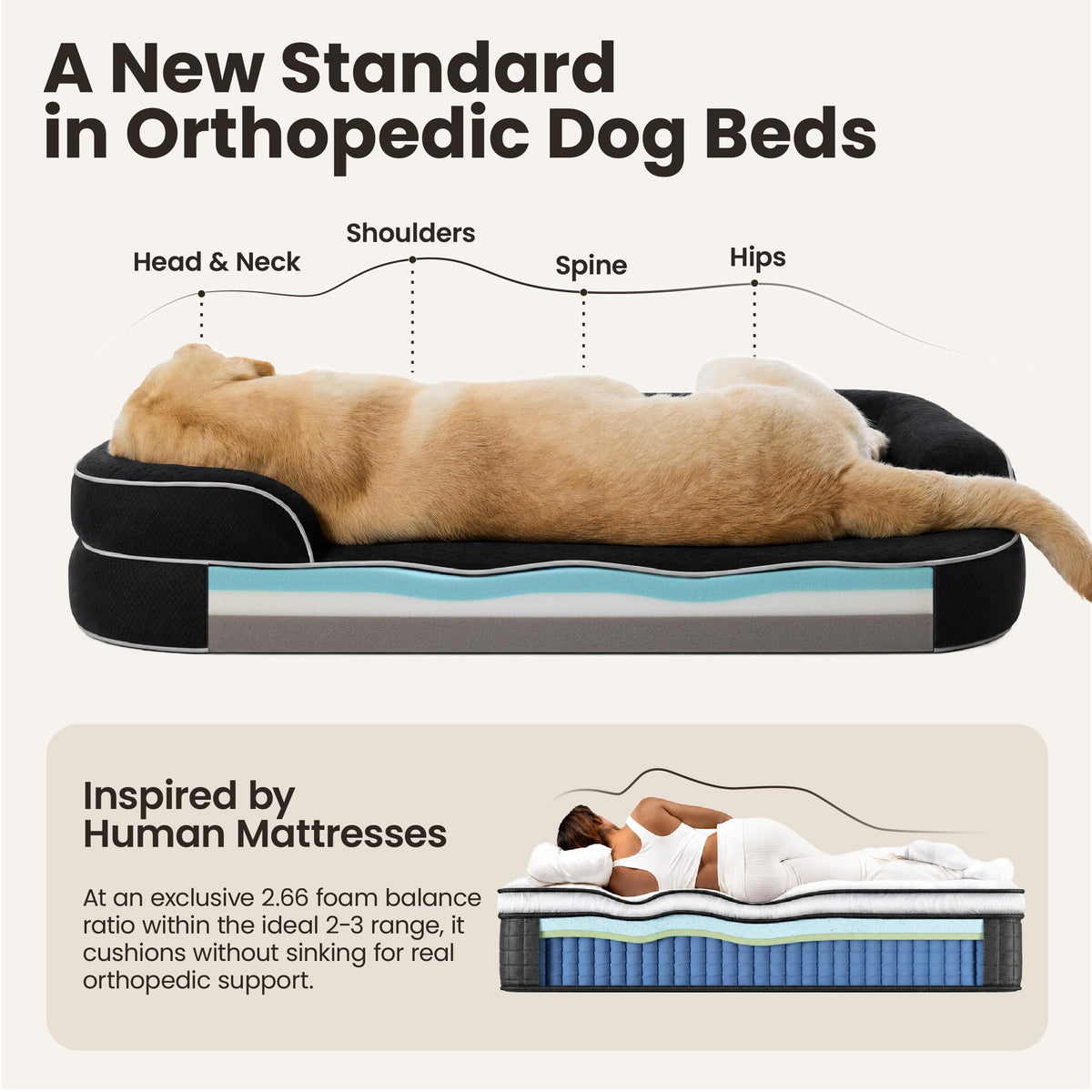 Black 42" Orthopedic Dog Beds G135