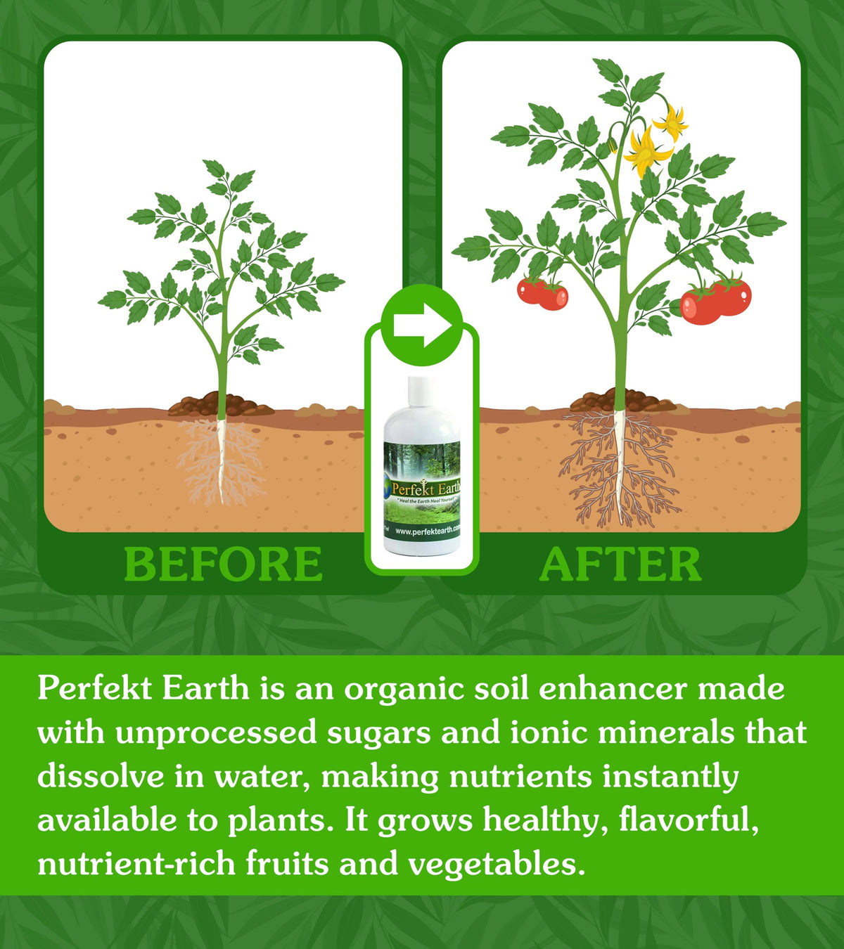 Organic Liquid Fertilizer 1 Pint V263