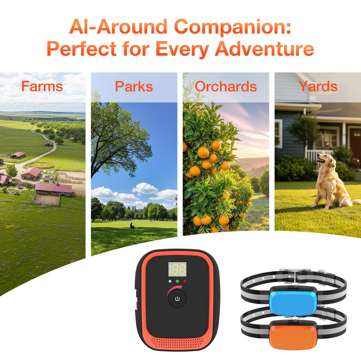 Electric Fence for Dogs L849492