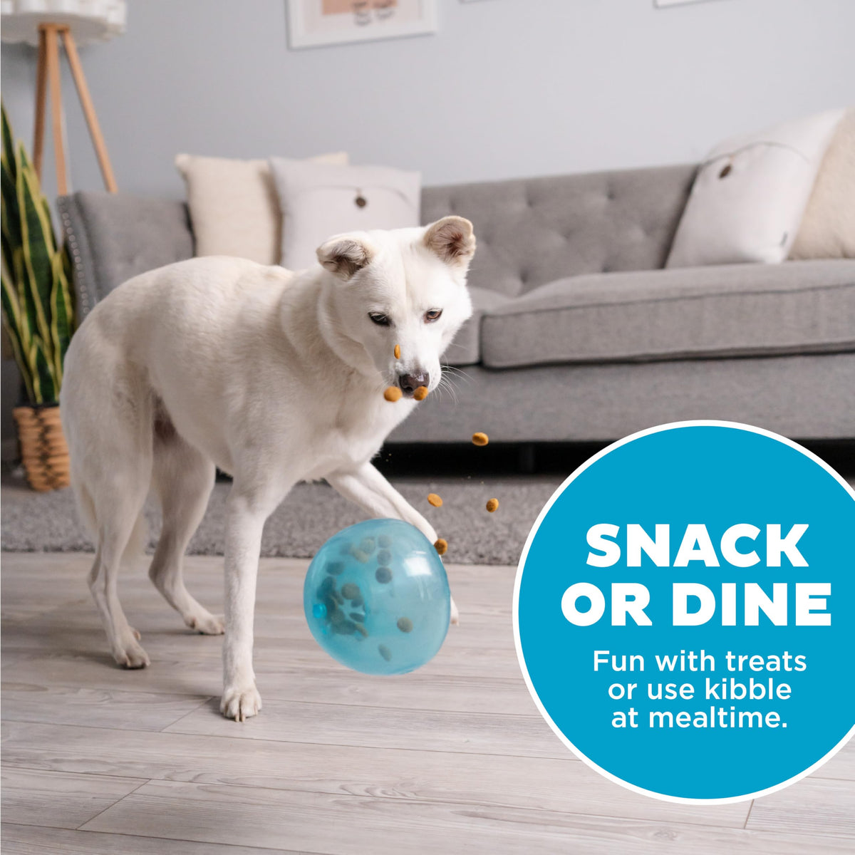 Blue Interactive Treat Dispensing Dog Toy N18473