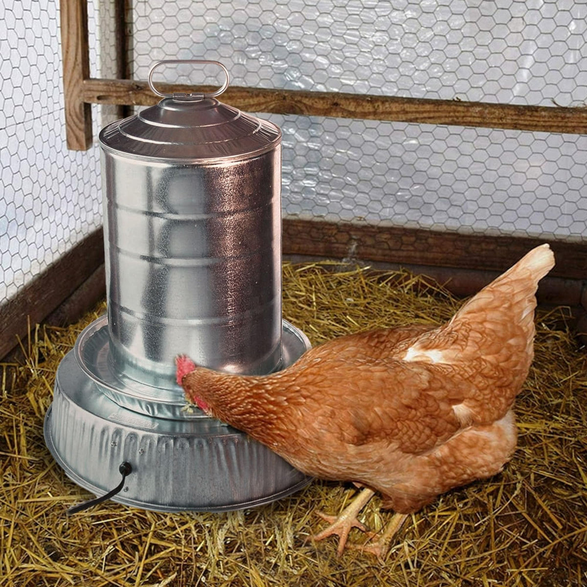 Heated Base for Metal Poultry Founts L3241