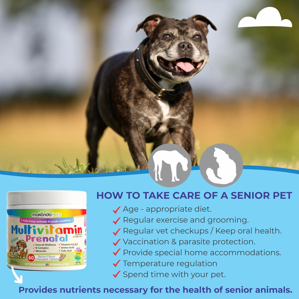 Dog Prenatal Vitamins 60 Tabs Supplement R487
