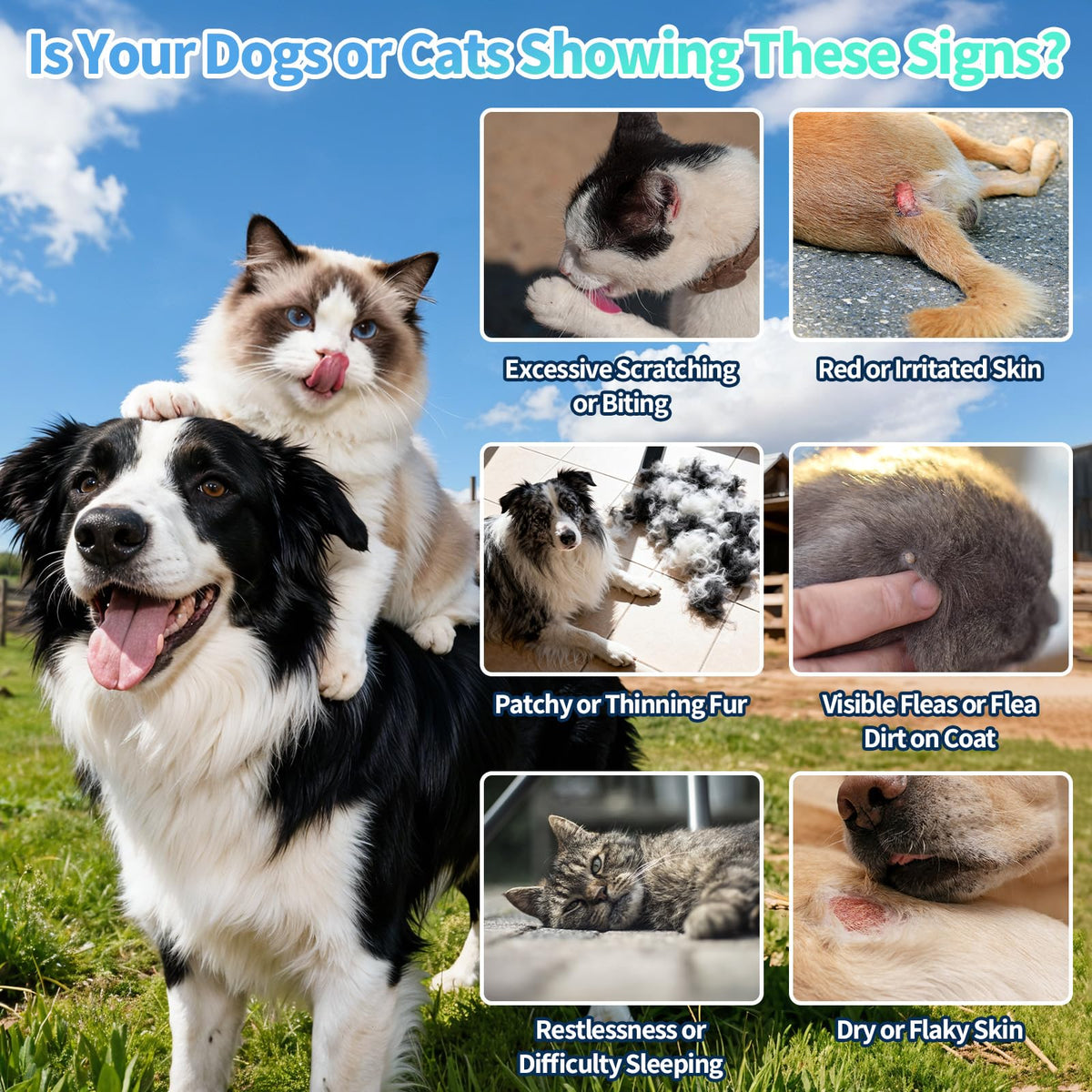 Natural Oral Flea and Tick Drops with Multivitamin for Pets D563803