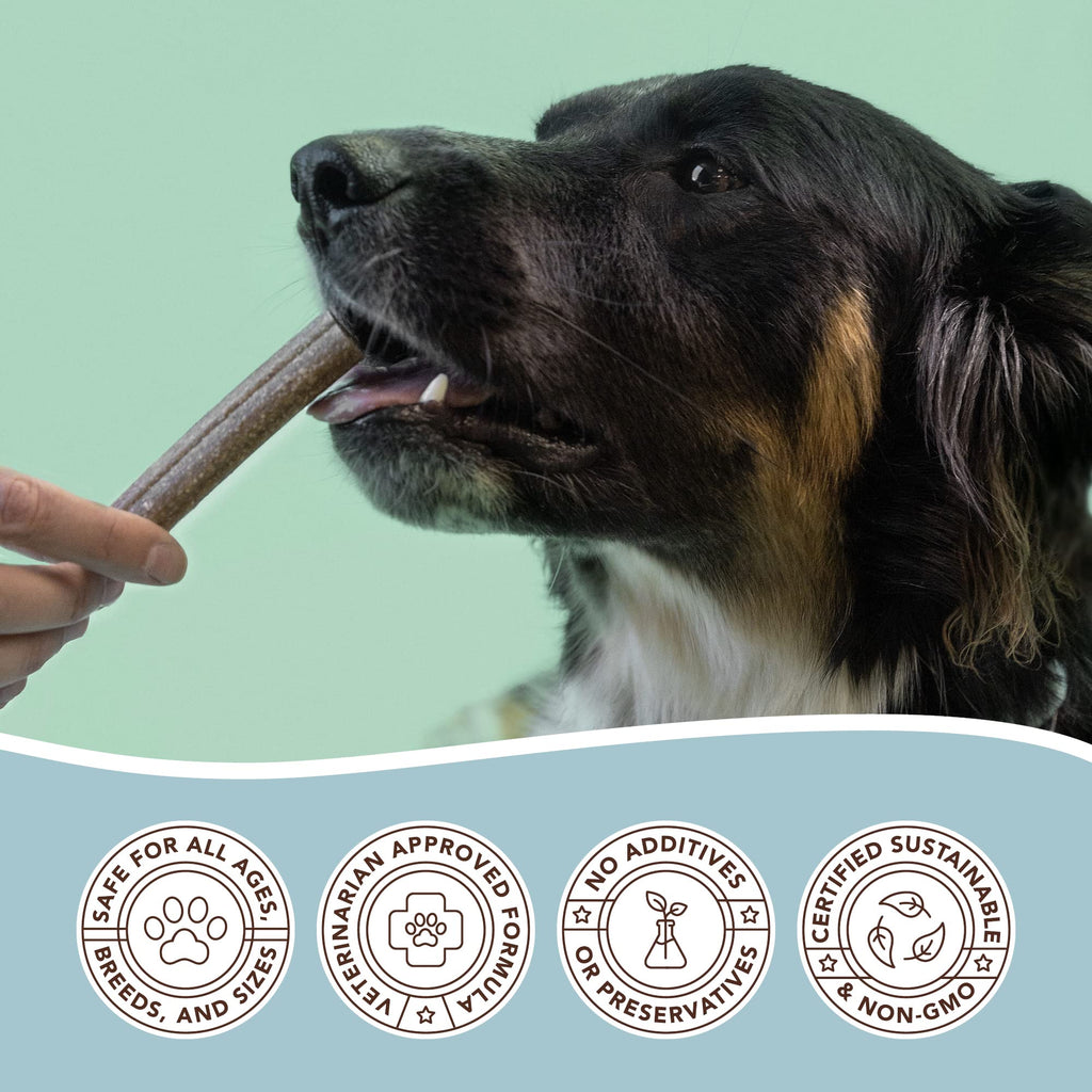Dental Chews for Dogs 18 Count C9348