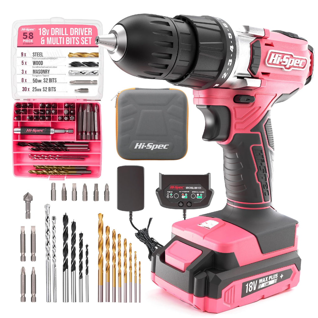 18V Cordless Drill Driver Set P837