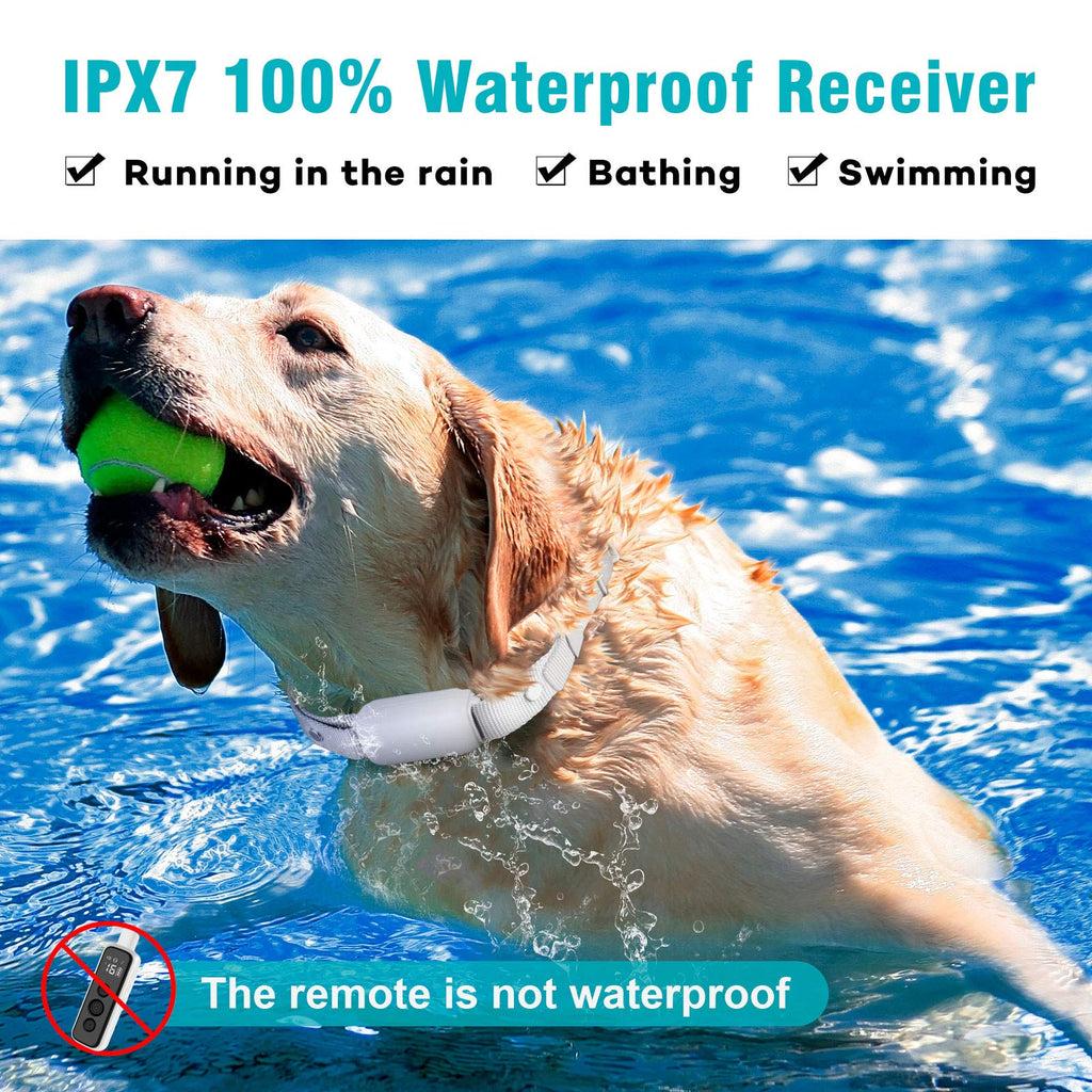 Waterproof Rechargeable Electric Dog Training Collar with Remote Q738718