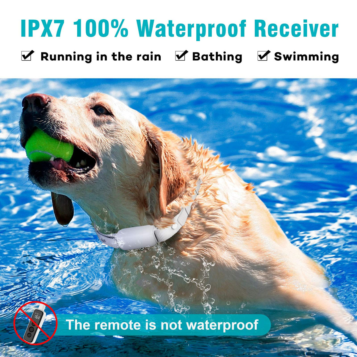 Waterproof Rechargeable Electric Dog Training Collar with Remote Q738718
