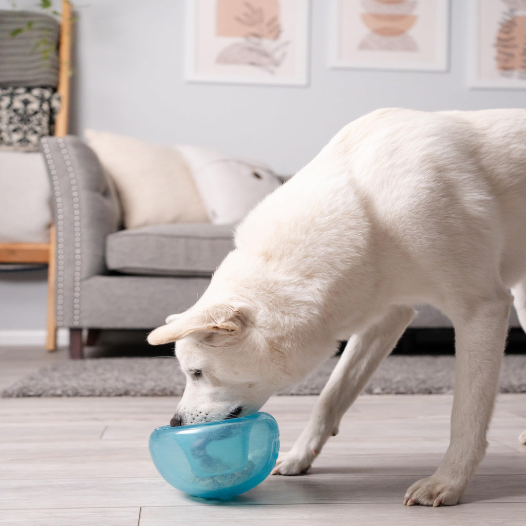 Blue Interactive Treat Dispensing Dog Toy N18473
