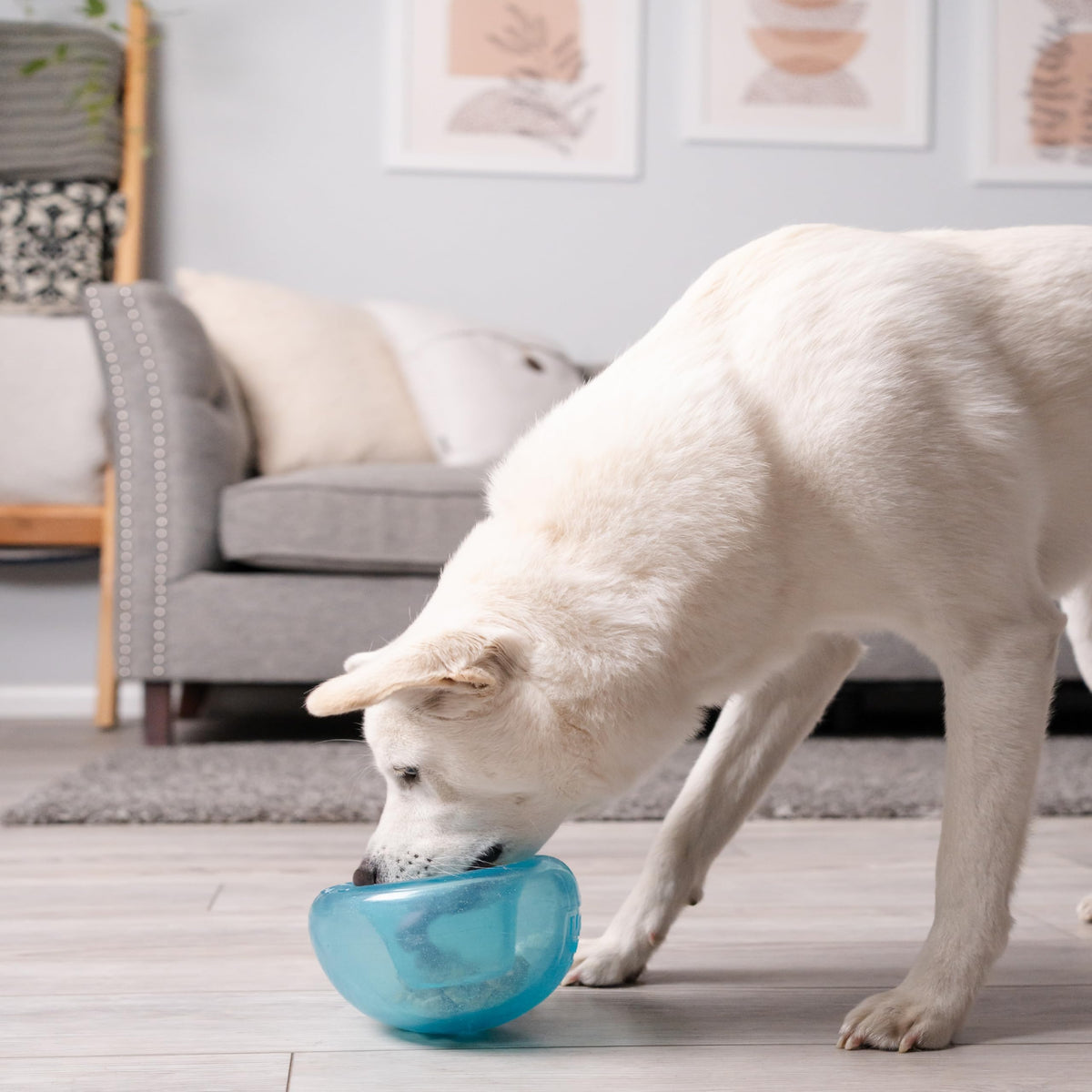 Blue Interactive Treat Dispensing Dog Toy N18473