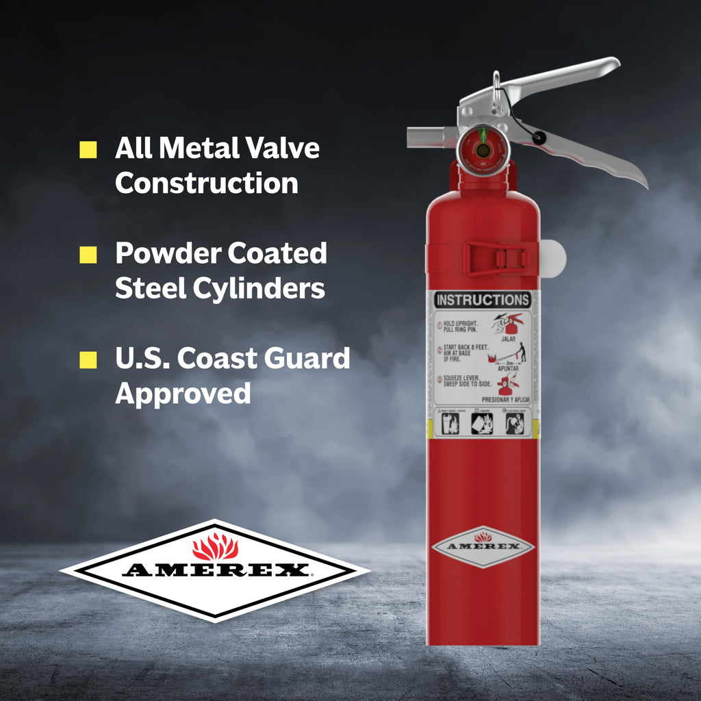 2.5 lbs ABC Dry Chemical Fire Extinguisher L966313