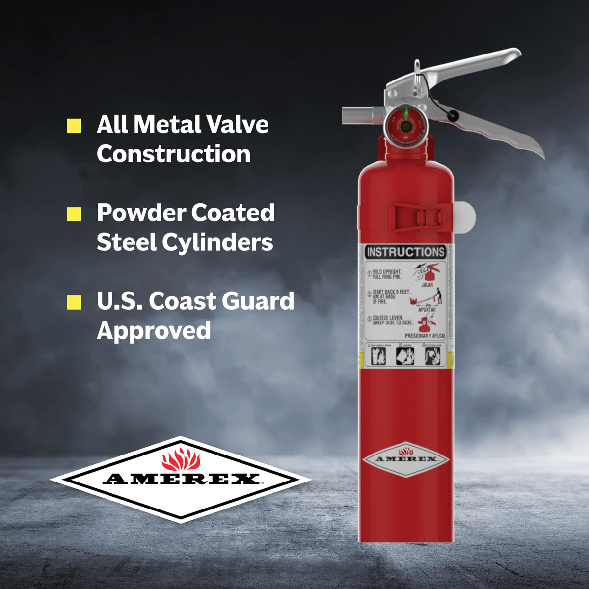 2.5 lbs ABC Dry Chemical Fire Extinguisher L966313