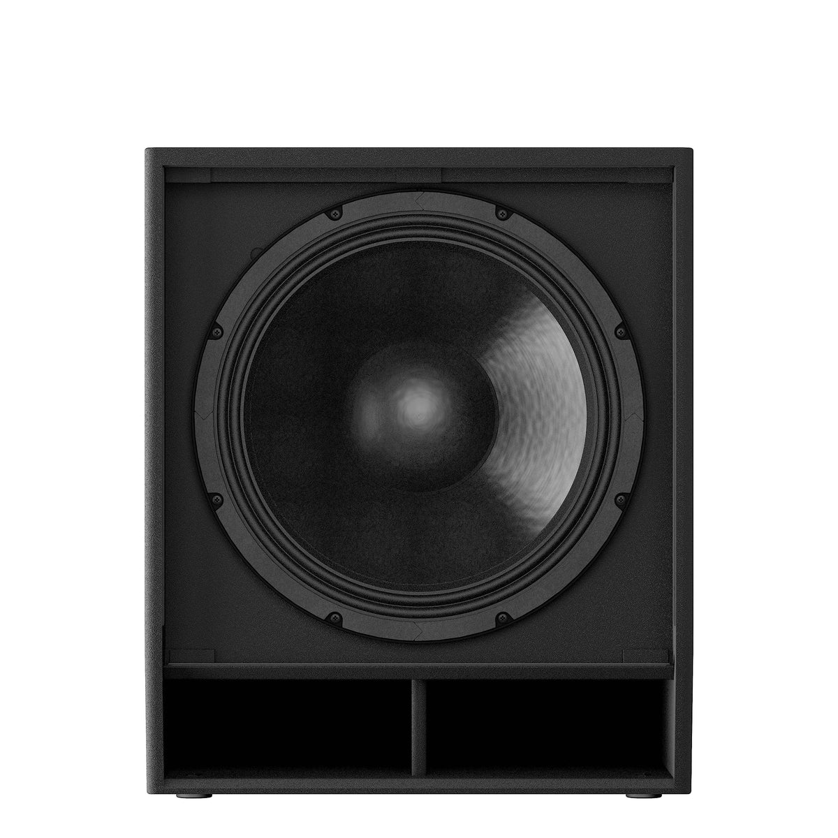 18-Inch 1000W Passive Subwoofer T9989
