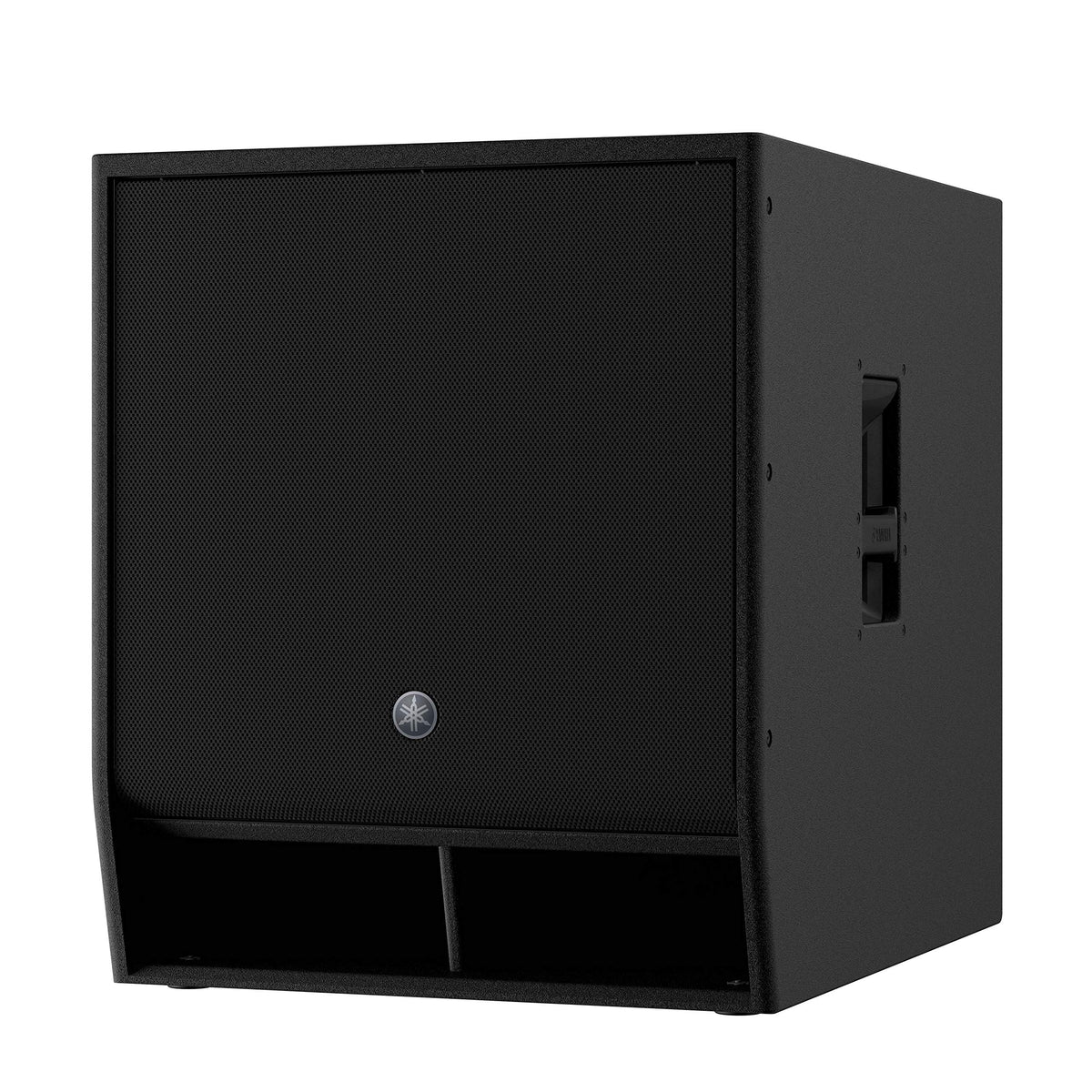 18-Inch 1000W Passive Subwoofer T9989